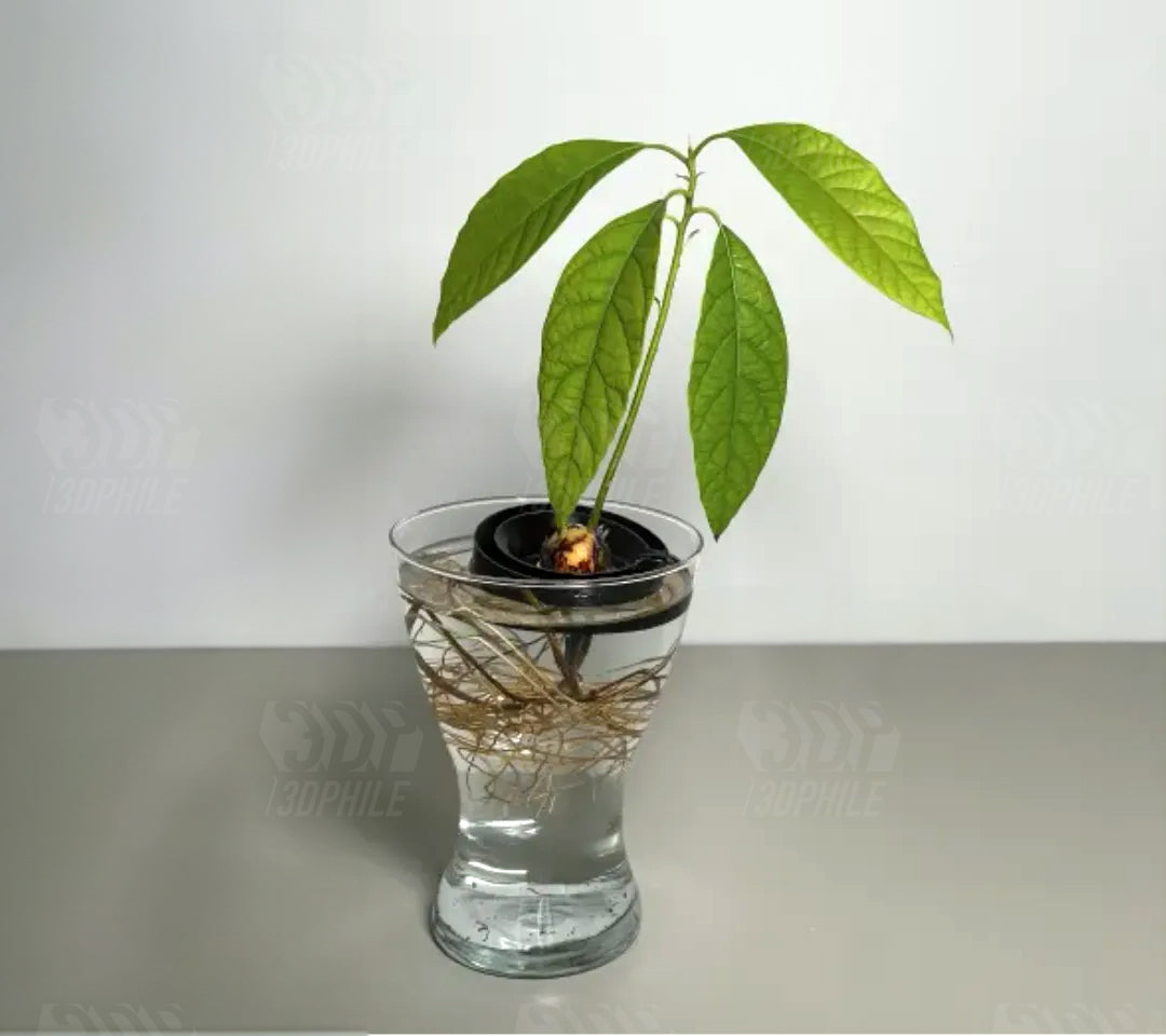 Avocado seed starter float seed starter buoy