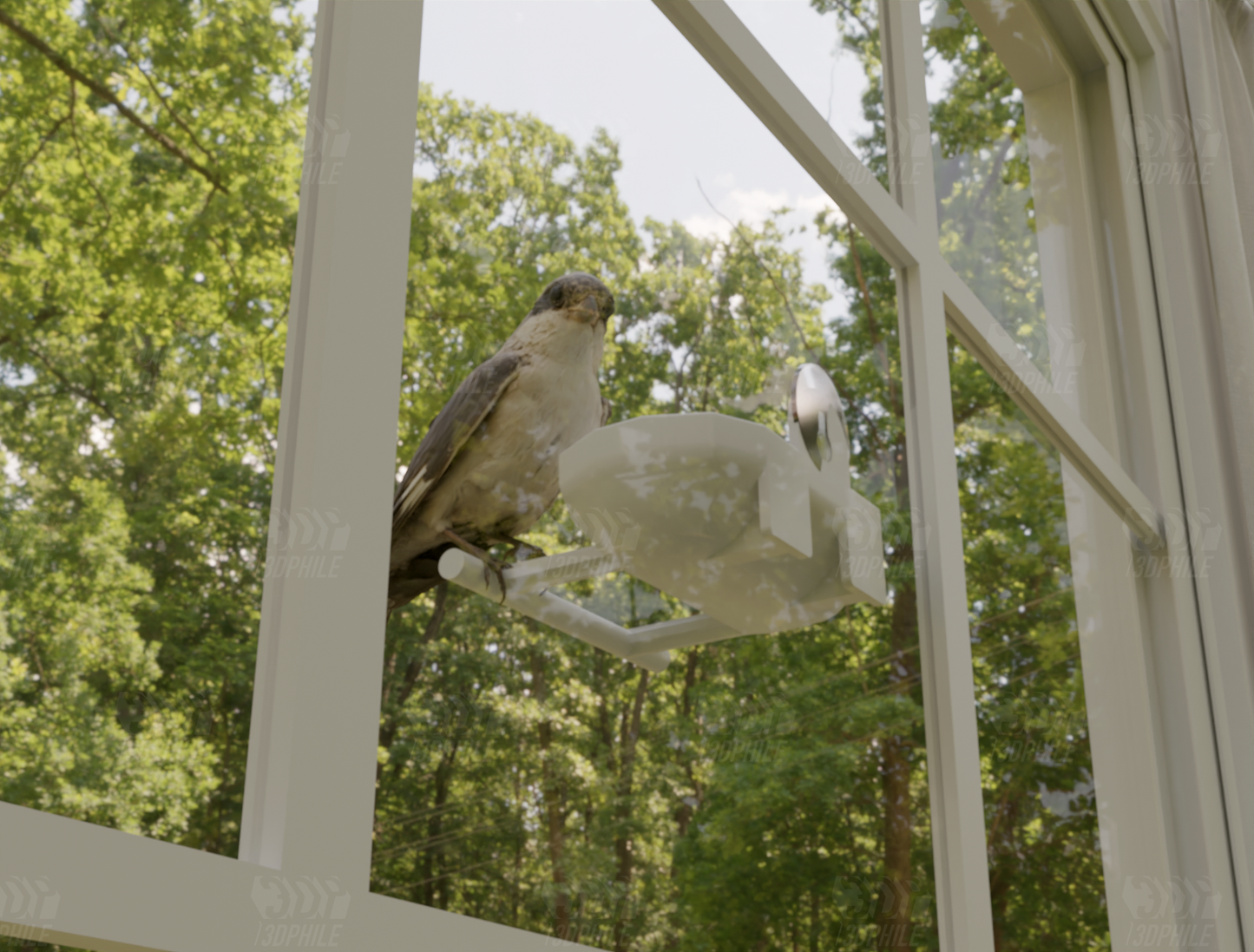 Bird Feeder with suction cup Window feeder for birds